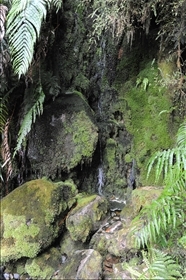 Lake Matheson